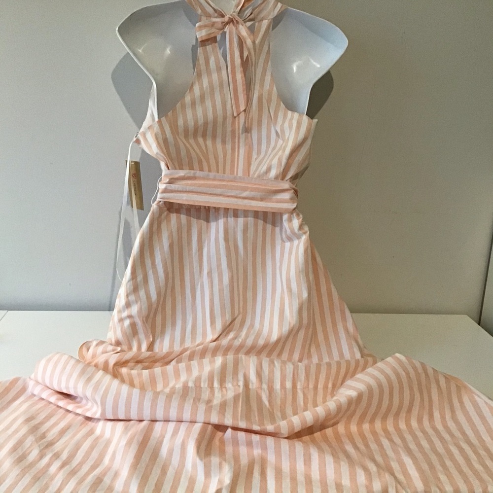 Cremieux Dress 6 Maxi NWT $149 Peach White Stripe - Picture 3 of 16